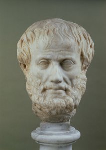 Marble Head of Aristotle by Unbekannt Unbekannt